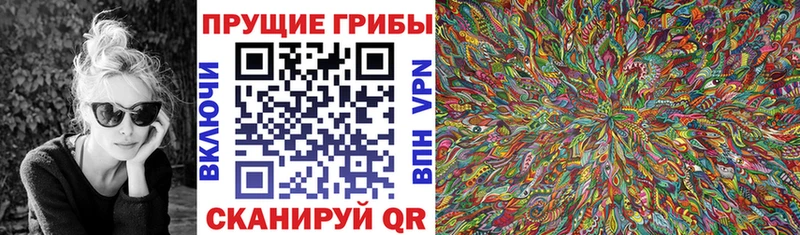 mega онион наркотики Севастополь Галлюциногенные грибы Magic Shrooms