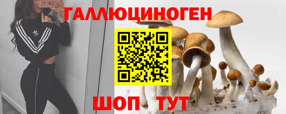 Галлюциногенные грибы Magic Shrooms  Севастополь 