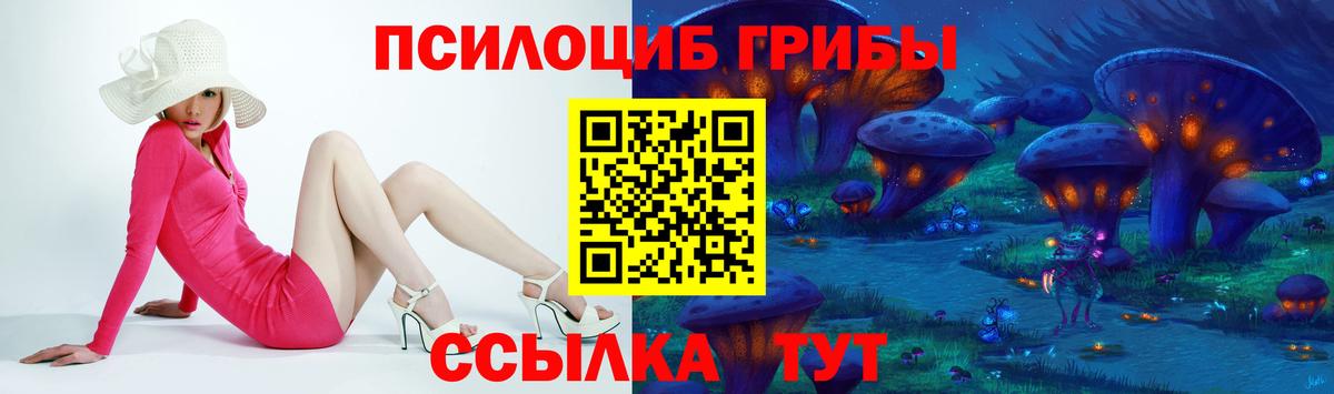 Псилоцибиновые грибы GOLDEN TEACHER  Галлюциногенные грибы Psilocybine cubensis  Севастополь  Вход с VPN 